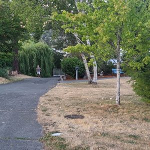 ⭐COMPLETED 5-STARS⭐ 66 Wood Deck | View Royal